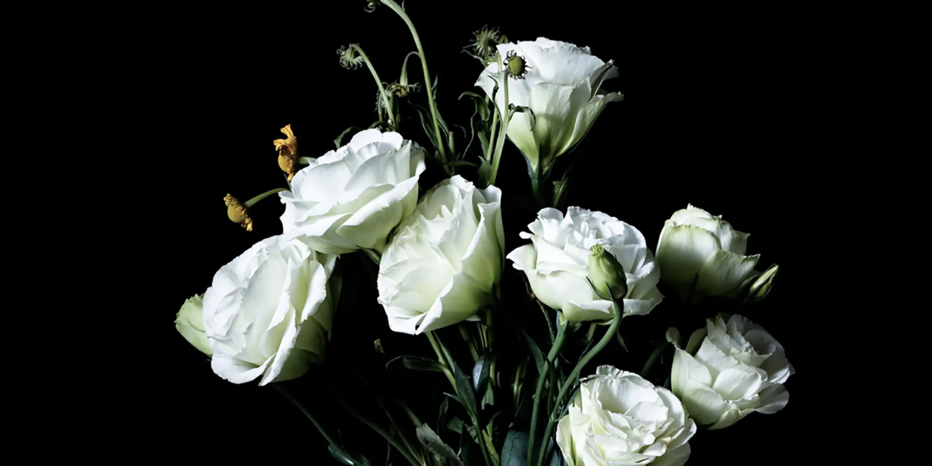 a tasteful flower arrangement featuring white roses